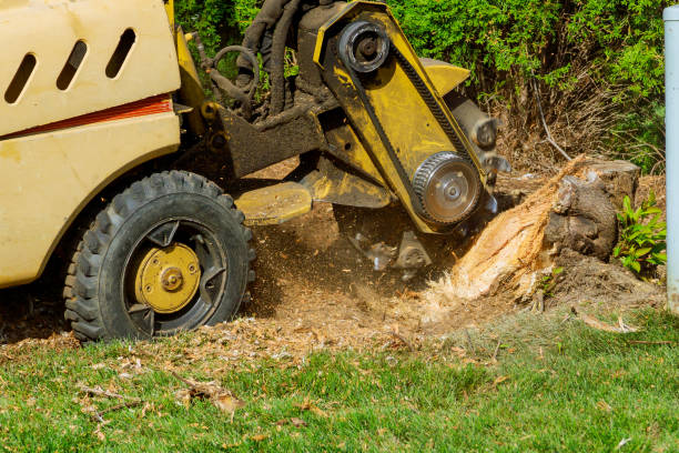 Best Seasonal Cleanup (Spring/Fall)  in San Luis Obispo, CA